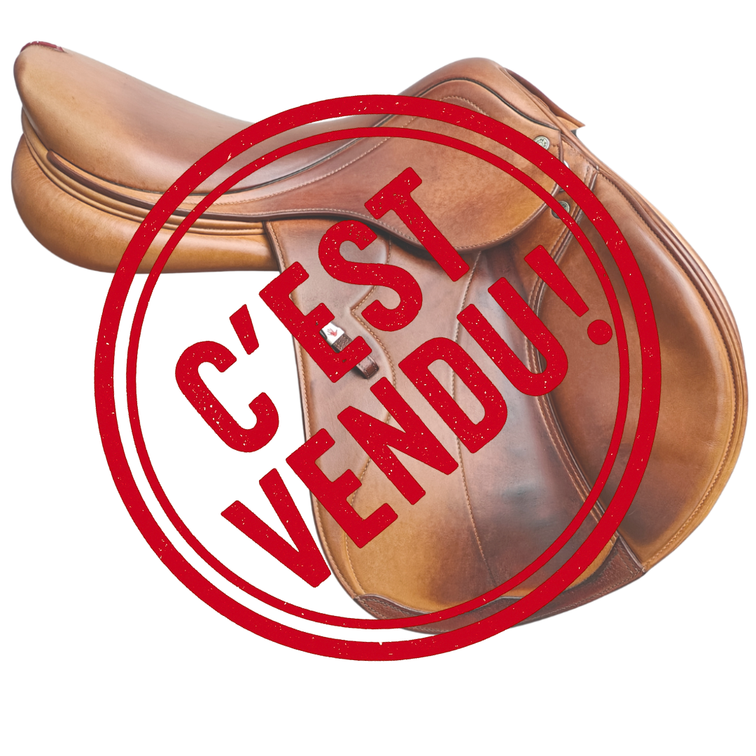 SYNERGIE SPECIALE 17,5 - vendue
