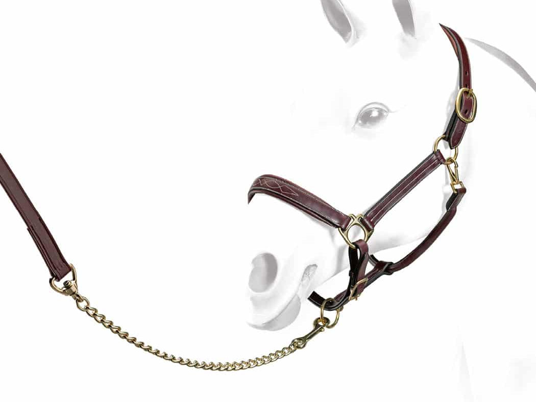 Licol en cuir 'Gentle' EMPORIO