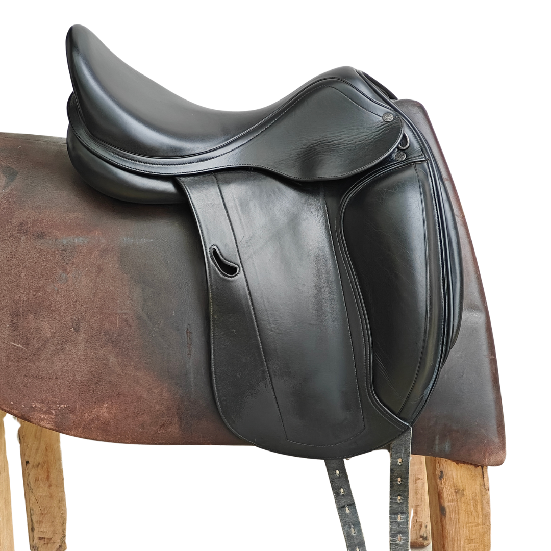 EMPORIO DRESSAGE MONOQUARTIER - vue 2