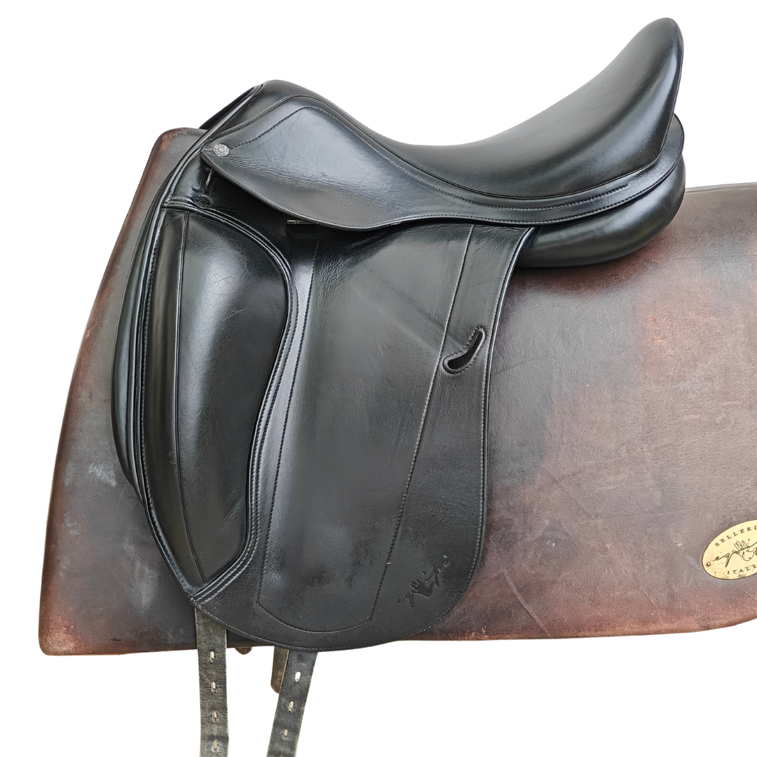 EMPORIO DRESSAGE MONOQUARTIER - vue principale