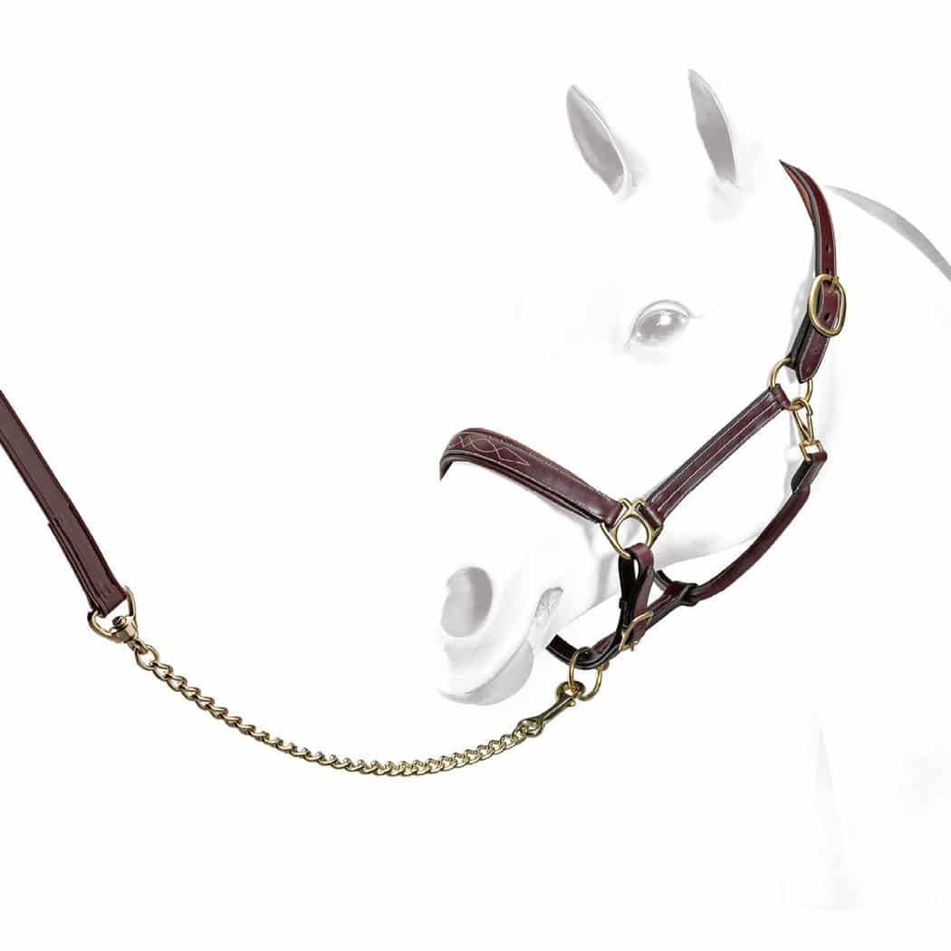 Licol en cuir 'Gentle' EMPORIO