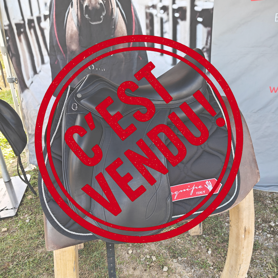 EQUIPE OLYMPIA SPECIALE - vue principale